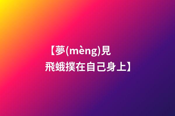 【夢(mèng)見飛蛾撲在自己身上】