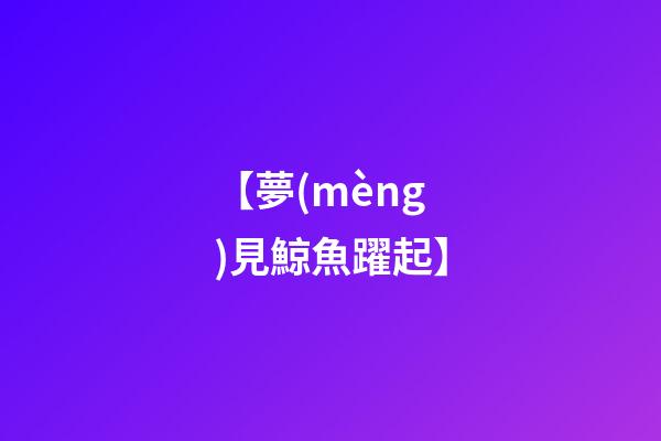 【夢(mèng)見鯨魚躍起】