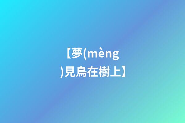 【夢(mèng)見鳥在樹上】