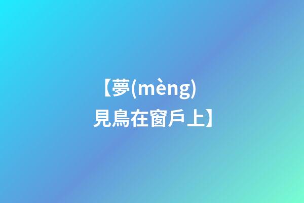 【夢(mèng)見鳥在窗戶上】