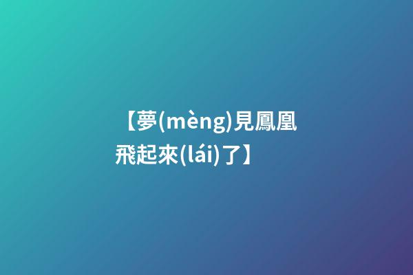 【夢(mèng)見鳳凰飛起來(lái)了】