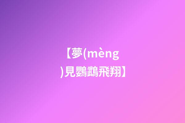 【夢(mèng)見鸚鵡飛翔】