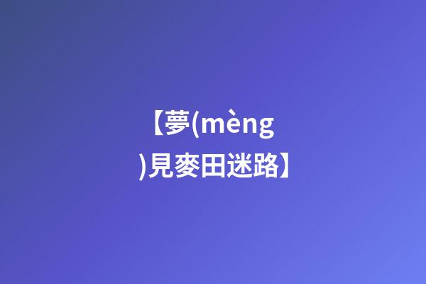 【夢(mèng)見麥田迷路】