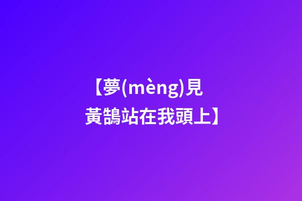 【夢(mèng)見黃鵠站在我頭上】