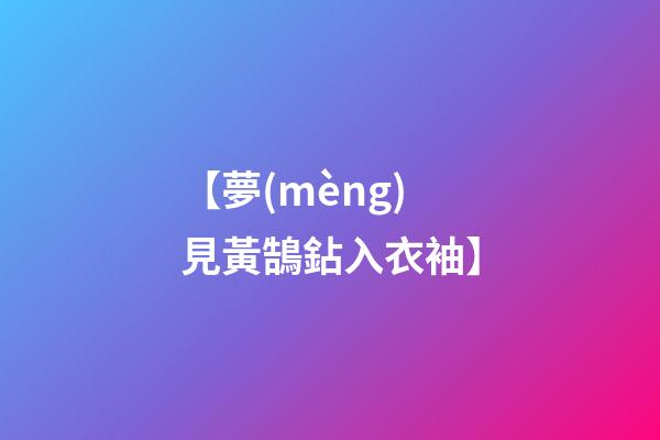【夢(mèng)見黃鵠鉆入衣袖】