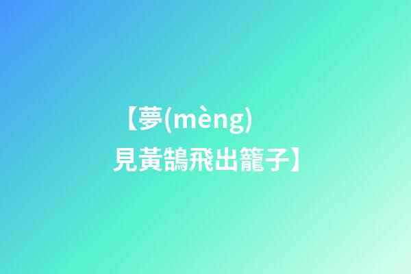 【夢(mèng)見黃鵠飛出籠子】