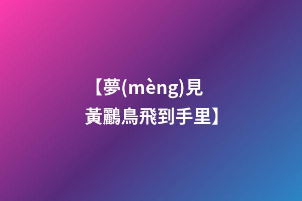 【夢(mèng)見黃鸝鳥飛到手里】