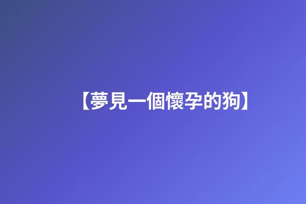 【夢見一個懷孕的狗】
