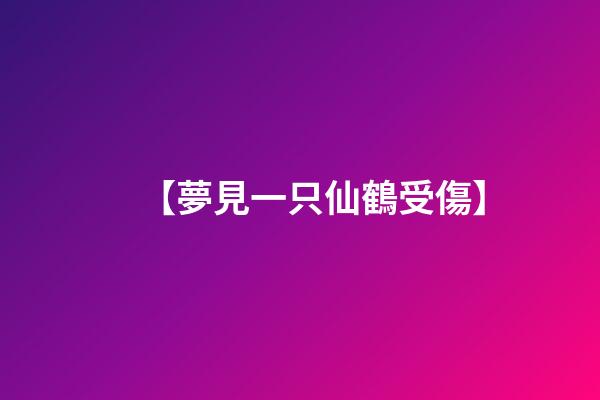 【夢見一只仙鶴受傷】