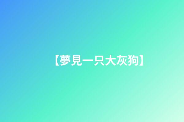 【夢見一只大灰狗】