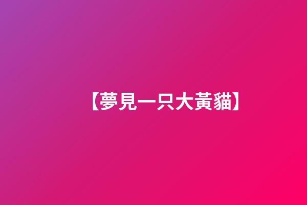 【夢見一只大黃貓】