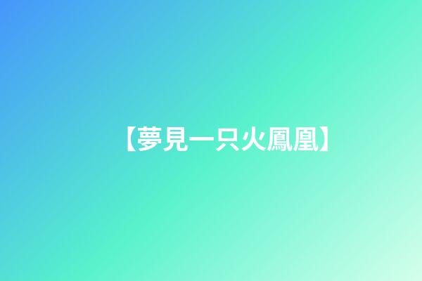 【夢見一只火鳳凰】