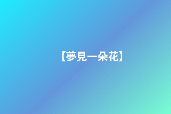 【夢見一朵花】