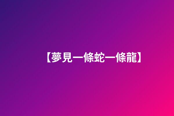 【夢見一條蛇一條龍】