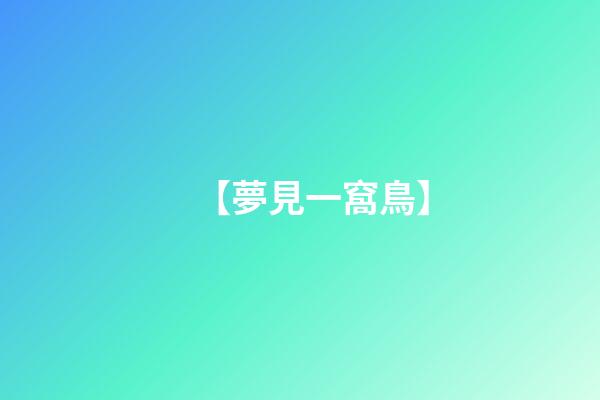 【夢見一窩鳥】