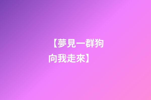 【夢見一群狗向我走來】