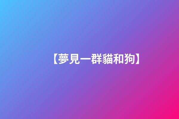 【夢見一群貓和狗】