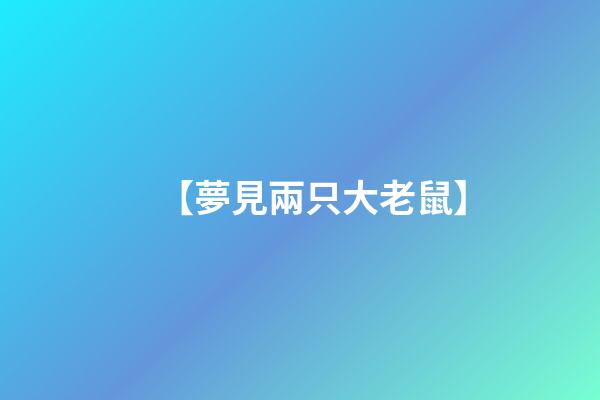 【夢見兩只大老鼠】