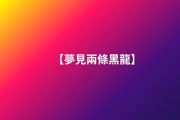 【夢見兩條黑龍】