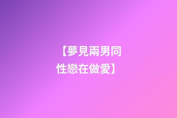 【夢見兩男同性戀在做愛】