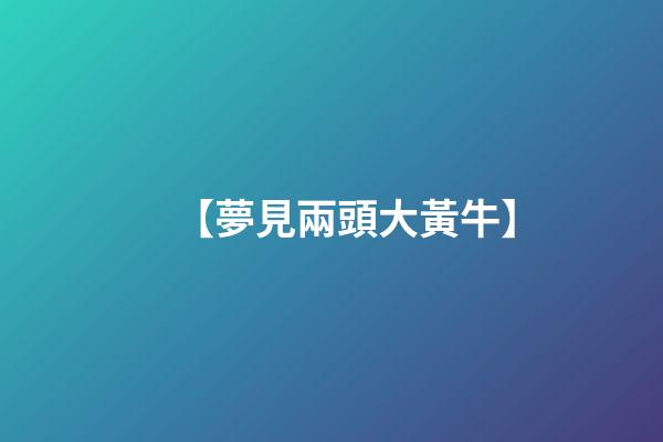 【夢見兩頭大黃牛】