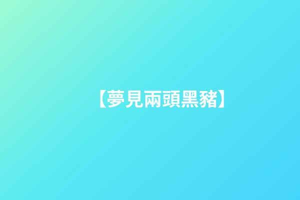 【夢見兩頭黑豬】