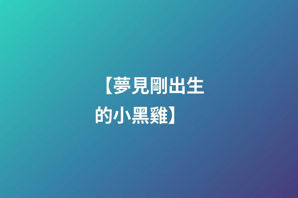 【夢見剛出生的小黑雞】