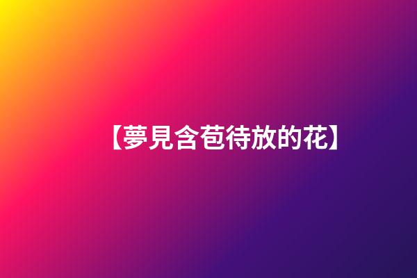 【夢見含苞待放的花】