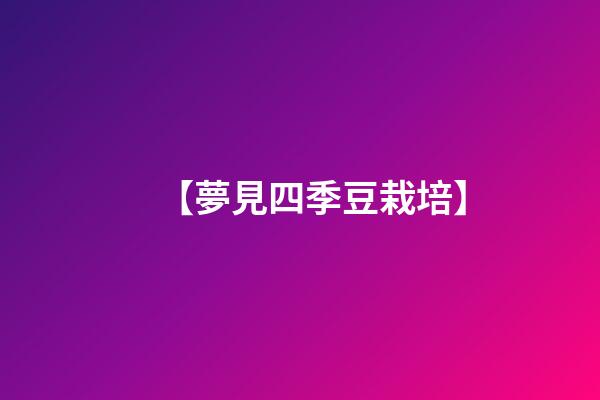 【夢見四季豆栽培】