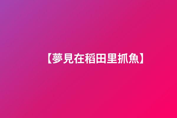 【夢見在稻田里抓魚】