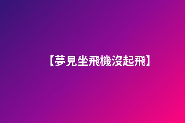 【夢見坐飛機沒起飛】