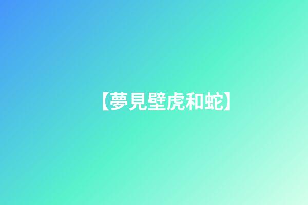 【夢見壁虎和蛇】