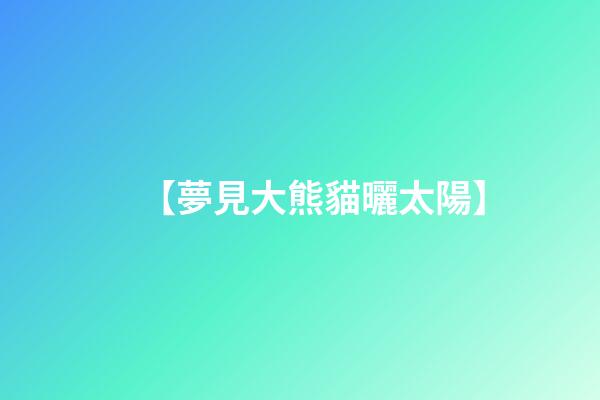 【夢見大熊貓曬太陽】