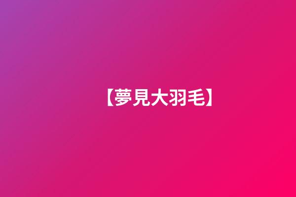 【夢見大羽毛】