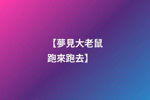 【夢見大老鼠跑來跑去】