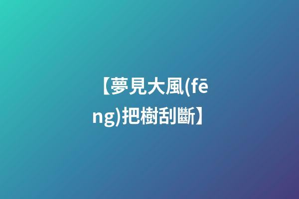 【夢見大風(fēng)把樹刮斷】