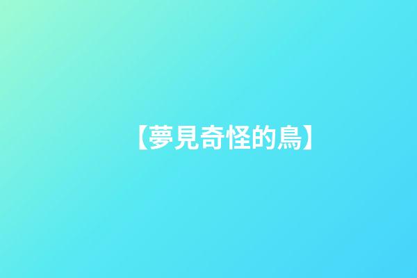 【夢見奇怪的鳥】