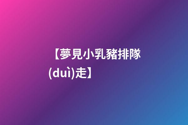 【夢見小乳豬排隊(duì)走】