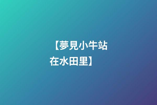 【夢見小牛站在水田里】