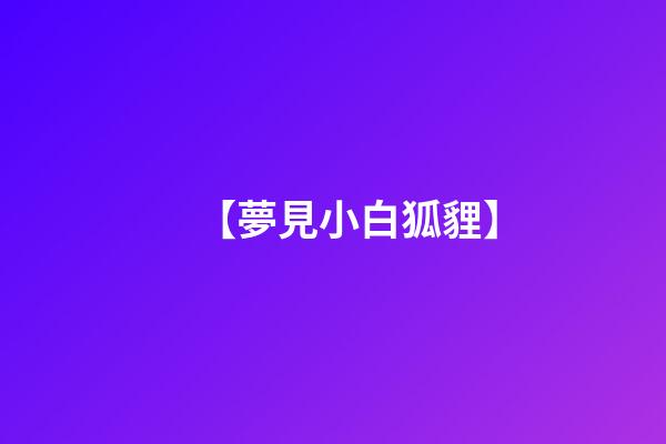 【夢見小白狐貍】