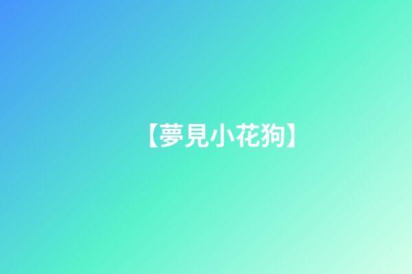 【夢見小花狗】