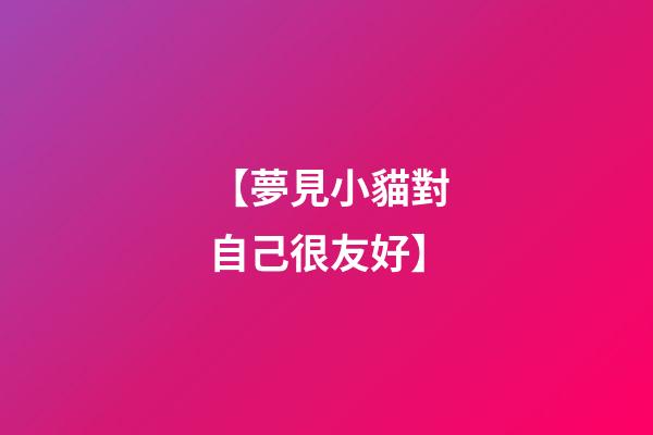 【夢見小貓對自己很友好】