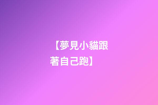 【夢見小貓跟著自己跑】