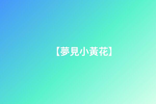 【夢見小黃花】