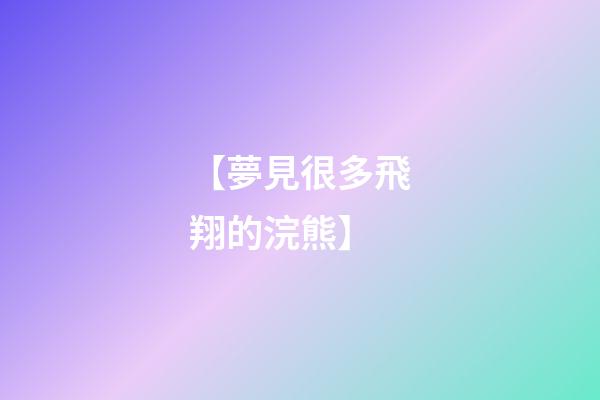 【夢見很多飛翔的浣熊】
