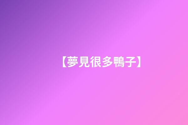【夢見很多鴨子】