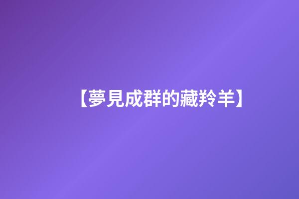 【夢見成群的藏羚羊】