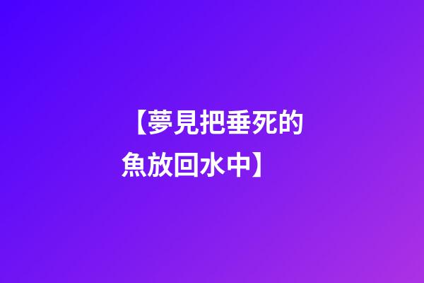 【夢見把垂死的魚放回水中】