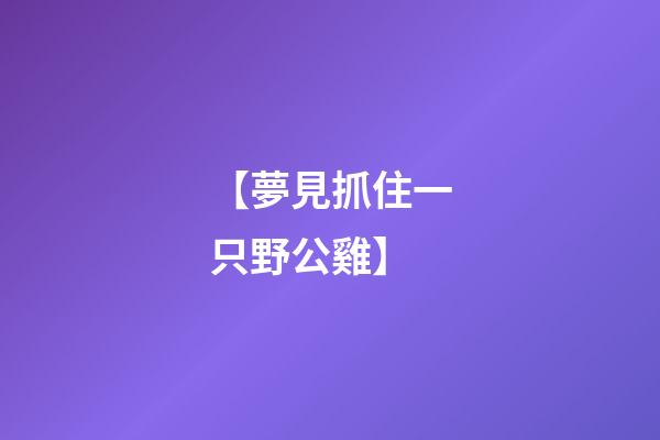 【夢見抓住一只野公雞】