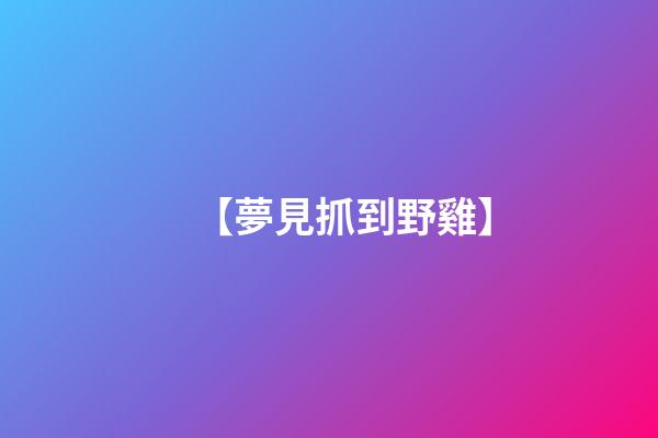【夢見抓到野雞】